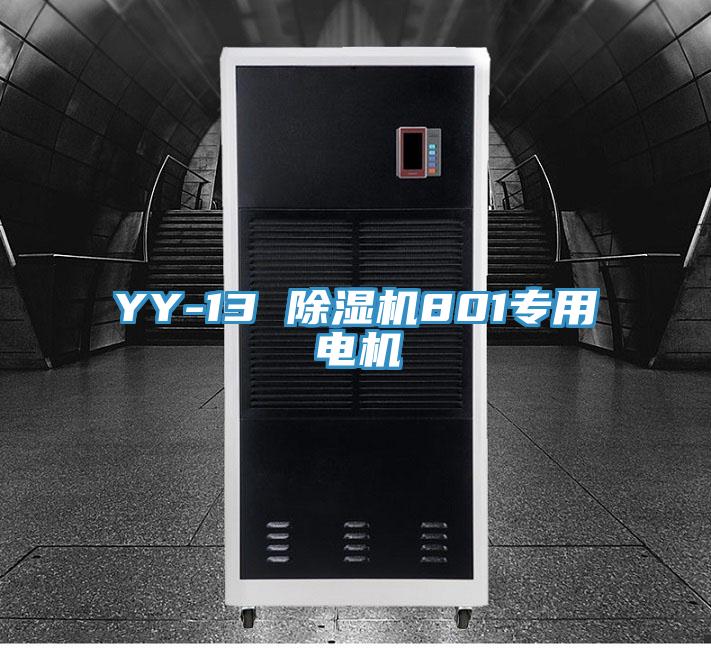 YY-13 除濕機(jī)801專用電機(jī)