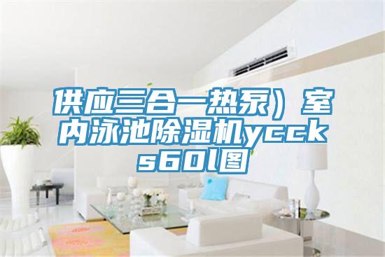 供應(yīng)三合一熱泵）室內(nèi)泳池除濕機yccks60l圖