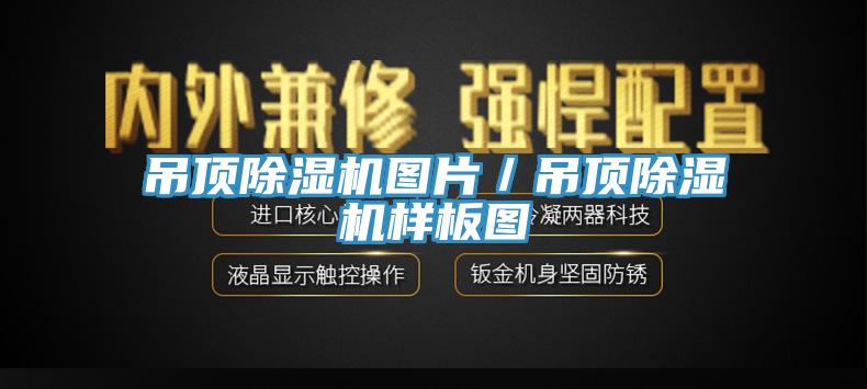 吊頂除濕機(jī)圖片／吊頂除濕機(jī)樣板圖