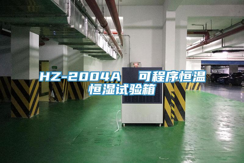 HZ-2004A  可程序恒溫恒濕試驗箱