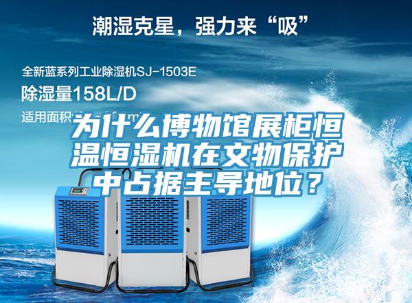 為什么博物館展柜恒溫恒濕機(jī)在文物保護(hù)中占據(jù)主導(dǎo)地位？