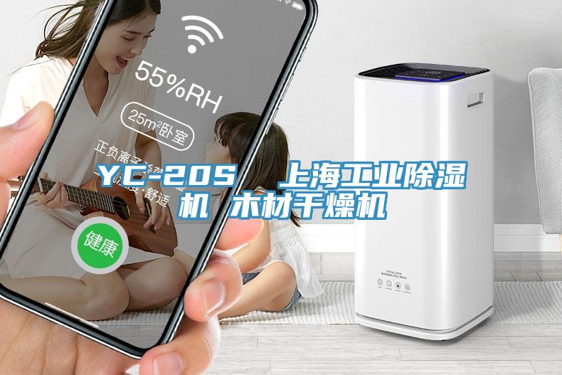 YC-20S  上海工業(yè)除濕機(jī) 木材干燥機(jī)