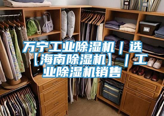 萬寧工業(yè)除濕機｜選【海南除濕機】｜工業(yè)除濕機銷售