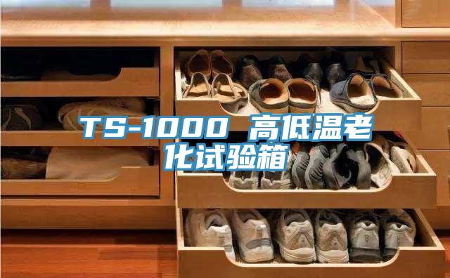 TS-1000 高低溫老化試驗(yàn)箱