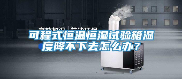 可程式恒溫恒濕試驗(yàn)箱濕度降不下去怎么辦？