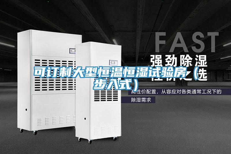 可訂制大型恒溫恒濕試驗(yàn)房（步入式）