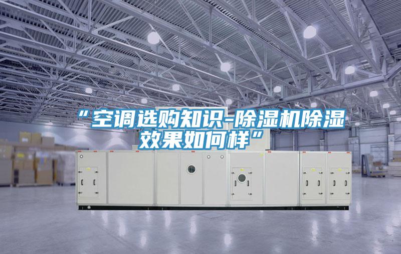 “空調(diào)選購(gòu)知識(shí)-除濕機(jī)除濕效果如何樣”