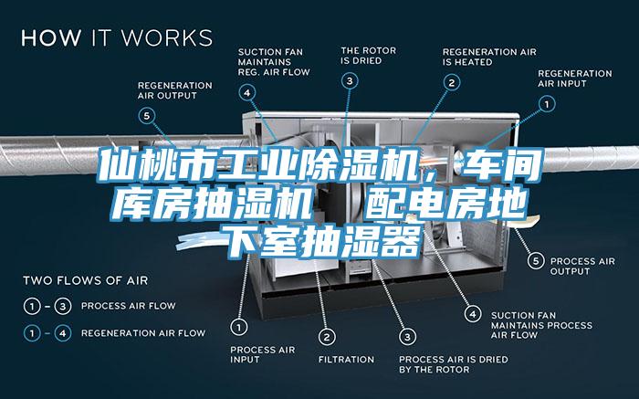 仙桃市工業(yè)除濕機(jī)，車(chē)間庫(kù)房抽濕機(jī)  配電房地下室抽濕器
