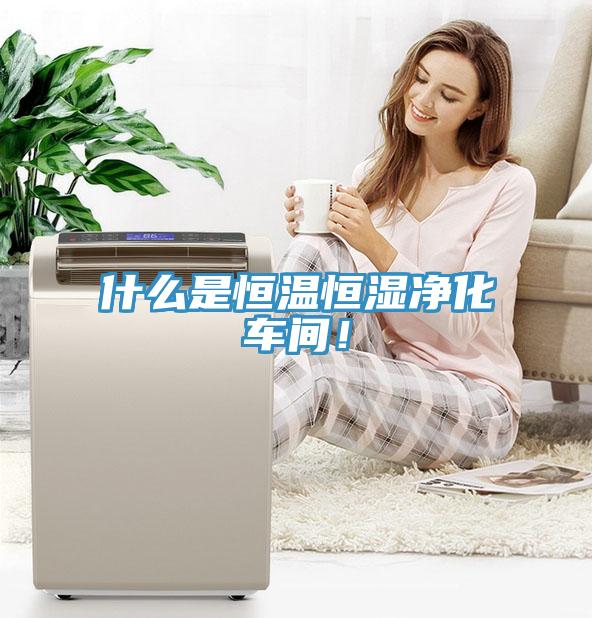 什么是恒溫恒濕凈化車間！