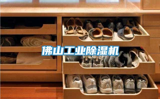 佛山工業(yè)除濕機(jī)