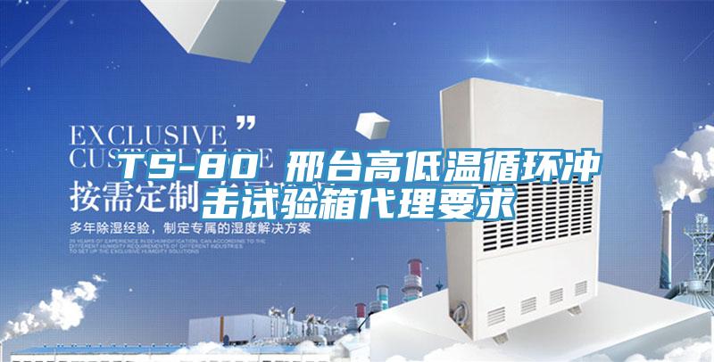 TS-80 邢臺高低溫循環(huán)沖擊試驗(yàn)箱代理要求