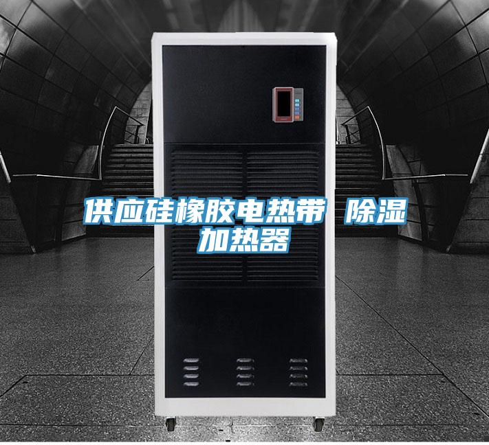 供應(yīng)硅橡膠電熱帶 除濕加熱器