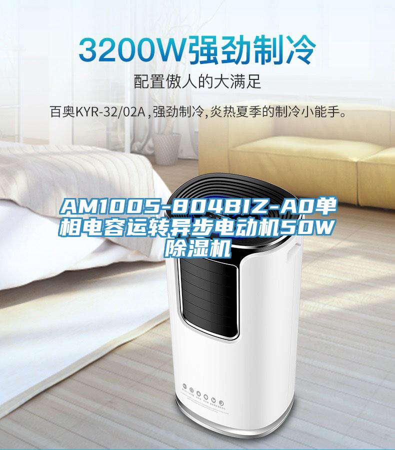 AM1005-804BIZ-A0單相電容運(yùn)轉(zhuǎn)異步電動(dòng)機(jī)50W除濕機(jī)