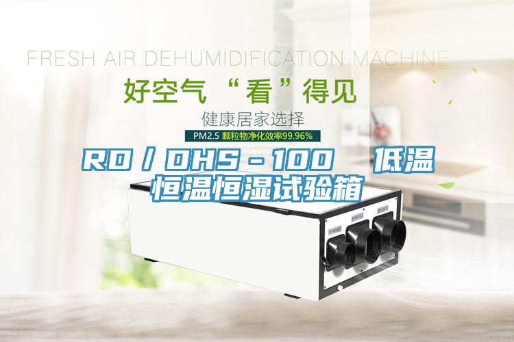 RD／DHS－100  低溫恒溫恒濕試驗箱