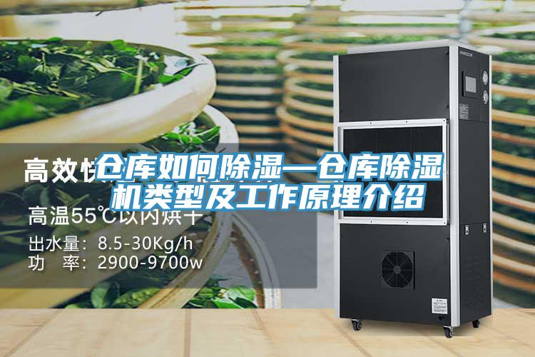 倉(cāng)庫(kù)如何除濕—倉(cāng)庫(kù)除濕機(jī)類型及工作原理介紹