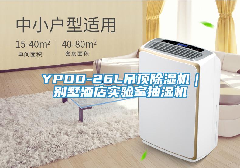 YPDD-26L吊頂除濕機(jī)｜別墅酒店實(shí)驗(yàn)室抽濕機(jī)