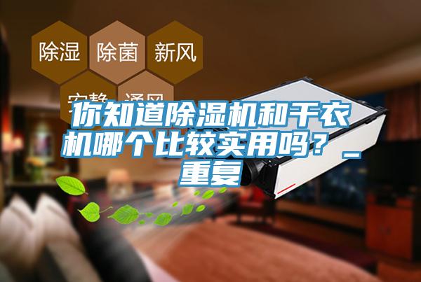 你知道除濕機(jī)和干衣機(jī)哪個比較實(shí)用嗎？_重復(fù)