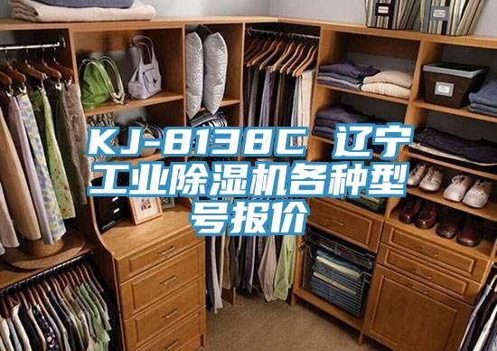 KJ-8138C 遼寧工業(yè)除濕機各種型號報價