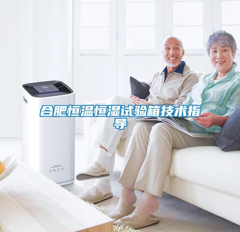 合肥恒溫恒濕試驗(yàn)箱技術(shù)指導(dǎo)