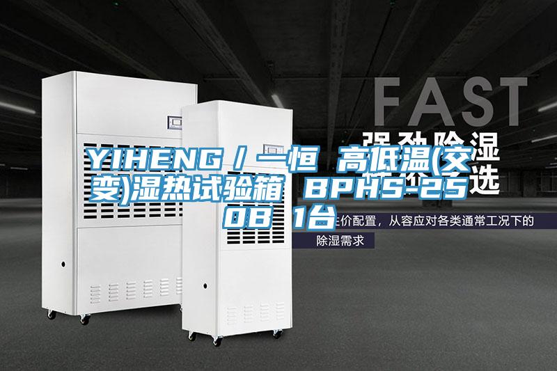 YIHENG／一恒 高低溫(交變)濕熱試驗(yàn)箱 BPHS-250B 1臺