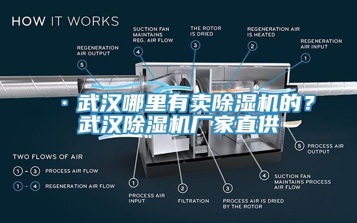 ·武漢哪里有賣除濕機(jī)的？武漢除濕機(jī)廠家直供