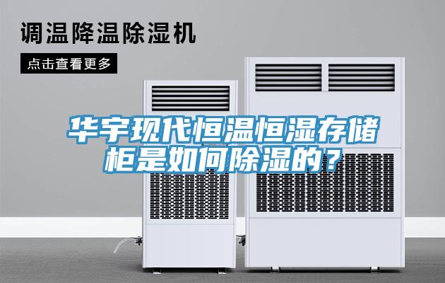 華宇現(xiàn)代恒溫恒濕存儲(chǔ)柜是如何除濕的？