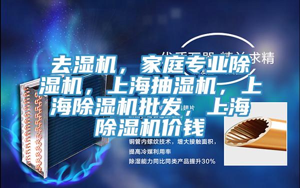 去濕機(jī)，家庭專業(yè)除濕機(jī)，上海抽濕機(jī)，上海除濕機(jī)批發(fā)，上海除濕機(jī)價錢