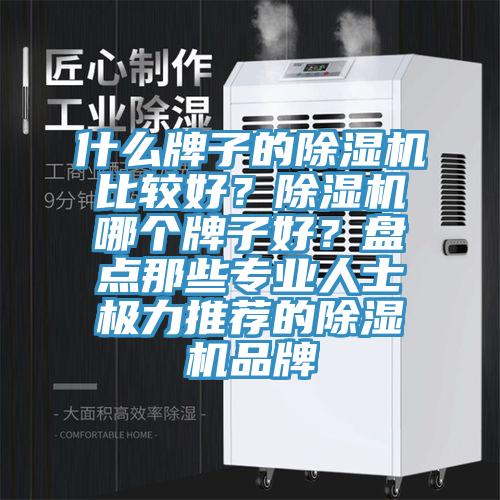 什么牌子的除濕機比較好？除濕機哪個牌子好？盤點那些專業(yè)人士極力推薦的除濕機品牌