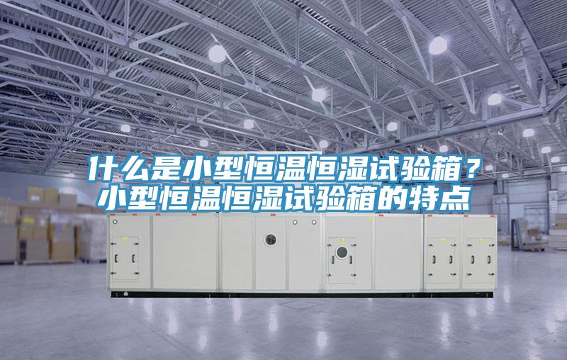 什么是小型恒溫恒濕試驗(yàn)箱？小型恒溫恒濕試驗(yàn)箱的特點(diǎn)
