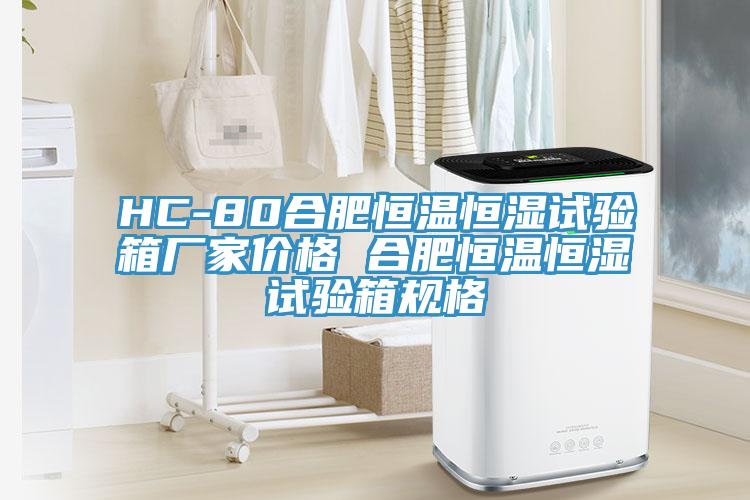 HC-80合肥恒溫恒濕試驗箱廠家價格 合肥恒溫恒濕試驗箱規(guī)格