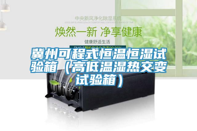 冀州可程式恒溫恒濕試驗箱（高低溫濕熱交變試驗箱）