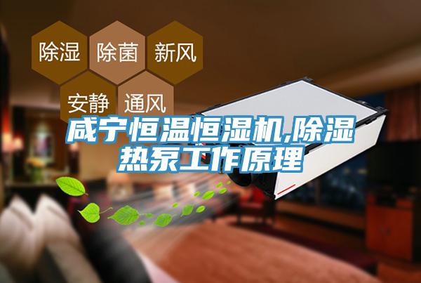 咸寧恒溫恒濕機(jī),除濕熱泵工作原理