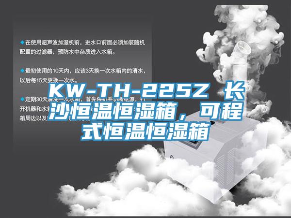 KW-TH-225Z 長沙恒溫恒濕箱，可程式恒溫恒濕箱