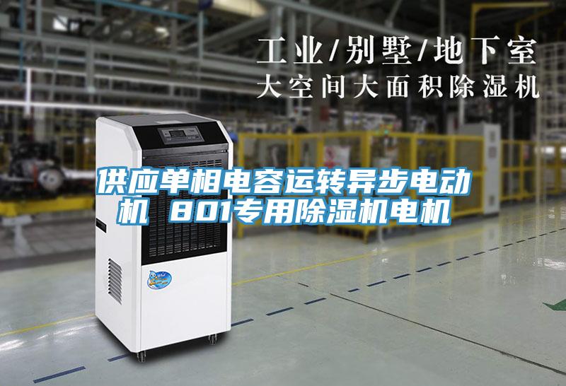 供應(yīng)單相電容運轉(zhuǎn)異步電動機 801專用除濕機電機