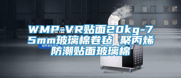 WMP-VR貼面20kg-75mm玻璃棉卷氈 聚丙烯防潮貼面玻璃棉