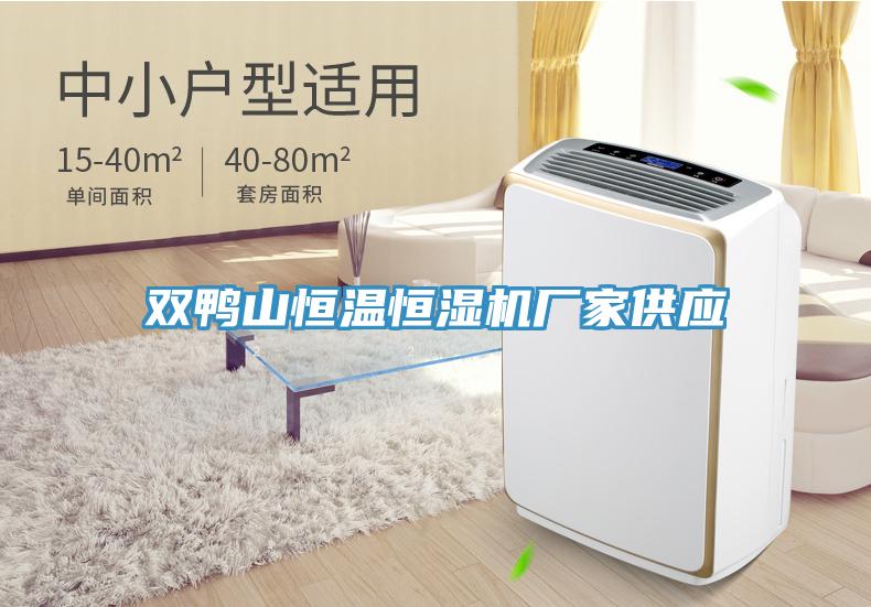 雙鴨山恒溫恒濕機(jī)廠家供應(yīng)