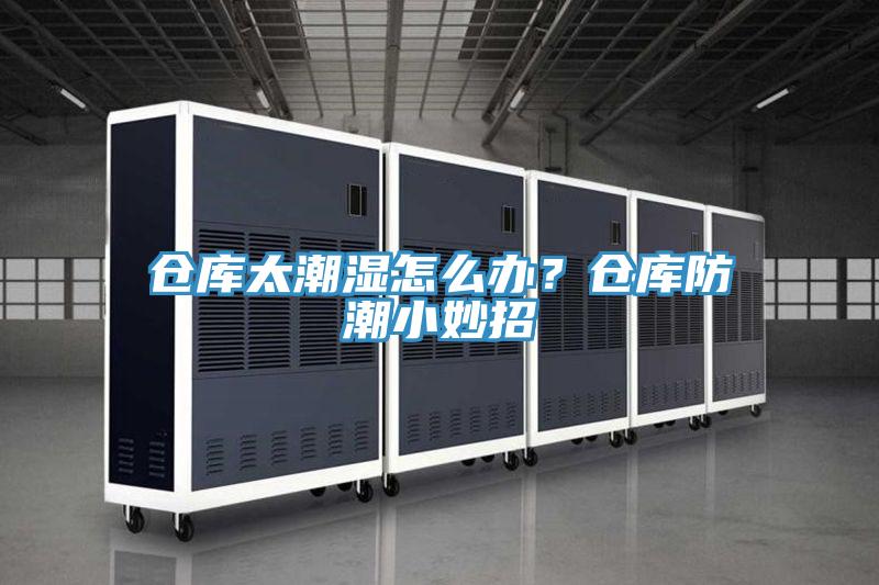 倉(cāng)庫(kù)太潮濕怎么辦？倉(cāng)庫(kù)防潮小妙招