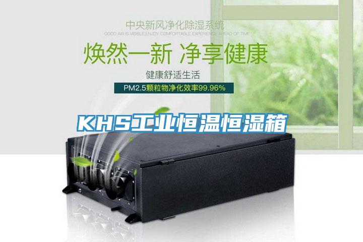 KHS工業(yè)恒溫恒濕箱