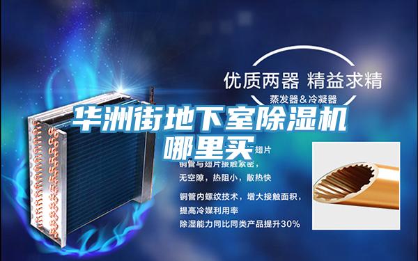 華洲街地下室除濕機(jī)哪里買(mǎi)