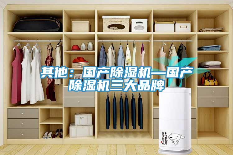 其他：國產(chǎn)除濕機(jī)—國產(chǎn)除濕機(jī)三大品牌