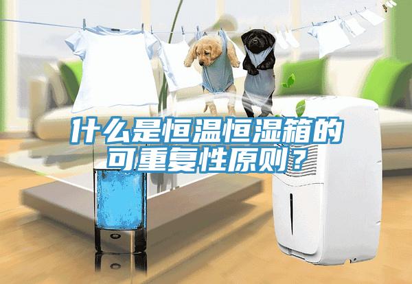 什么是恒溫恒濕箱的可重復性原則？