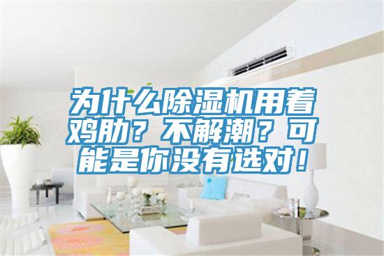 為什么除濕機(jī)用著雞肋？不解潮？可能是你沒有選對！