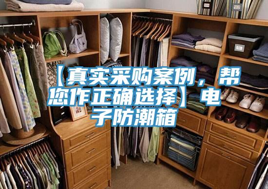 【真實采購案例，幫您作正確選擇】電子防潮箱