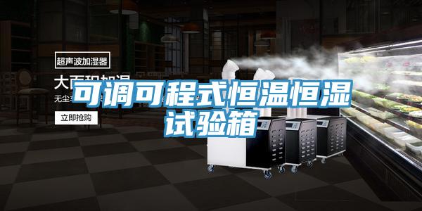 可調(diào)可程式恒溫恒濕試驗(yàn)箱