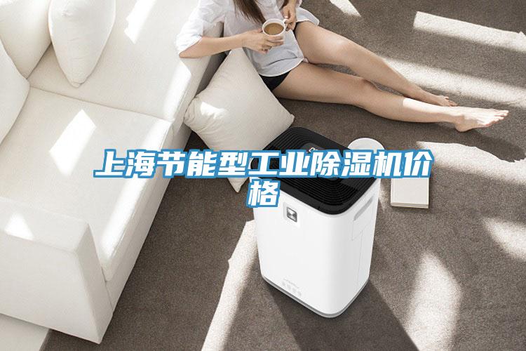 上海節(jié)能型工業(yè)除濕機價格