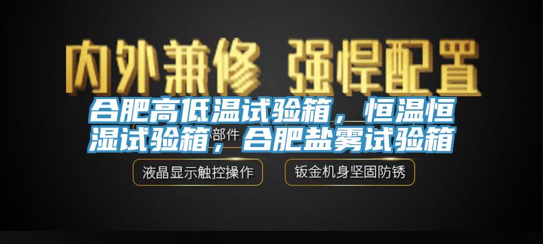合肥高低溫試驗(yàn)箱，恒溫恒濕試驗(yàn)箱，合肥鹽霧試驗(yàn)箱