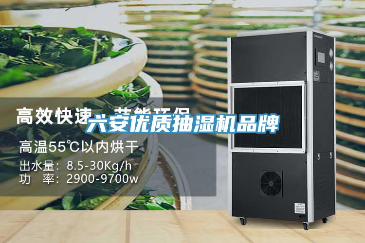 六安優(yōu)質(zhì)抽濕機品牌