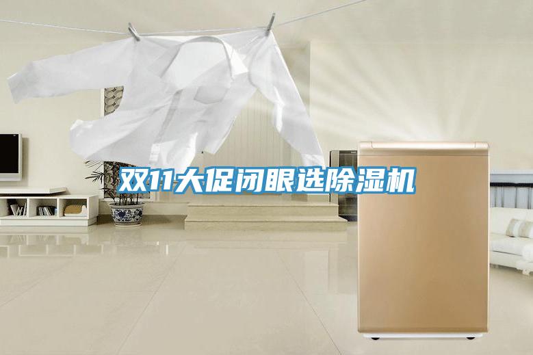 雙11大促閉眼選除濕機(jī)