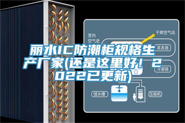 麗水IC防潮柜規(guī)格生產(chǎn)廠家(還是這里好！2022已更新)