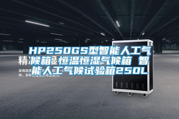 HP250GS型智能人工氣候箱 恒溫恒濕氣候箱 智能人工氣候試驗箱250L